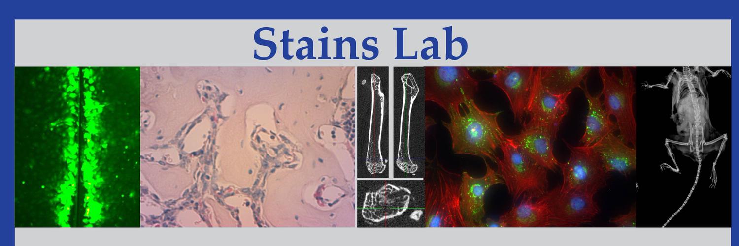 Stains_Lab Profile Banner