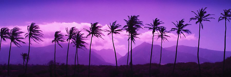 kalinalae's profile banner image