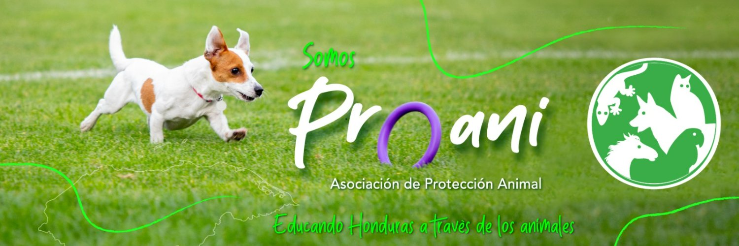 ProaniHonduras's profile banner image