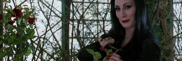 Valependragon's profile banner image