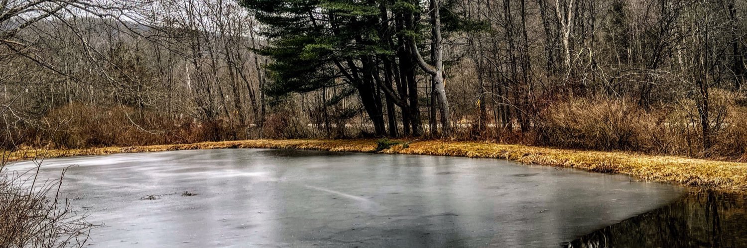 Jake Hager banner
