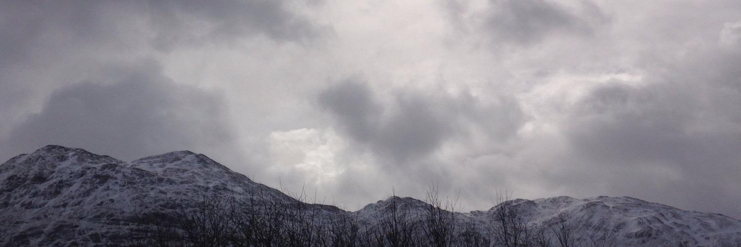 therealelleng's profile banner image