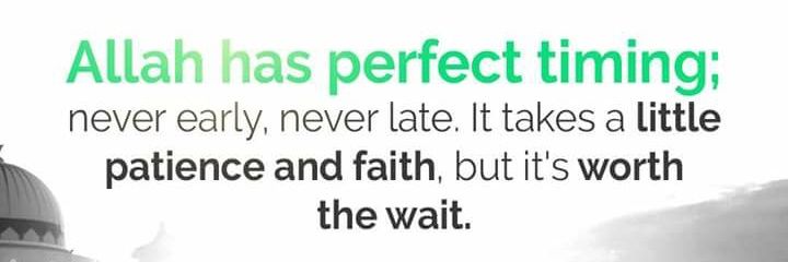 halima_wakili's profile banner image