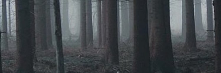 vinireolon's profile banner image
