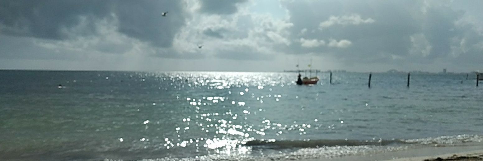 Cancunense 🏝 banner