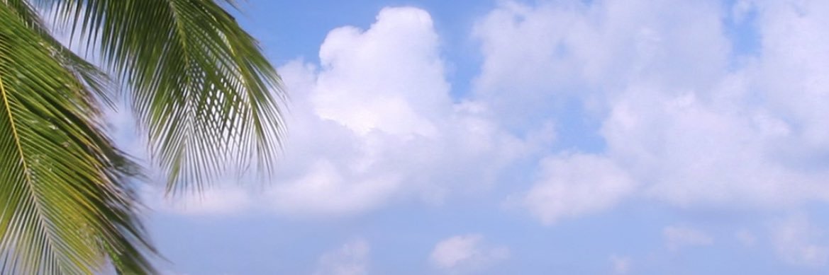 Cristian Perry banner