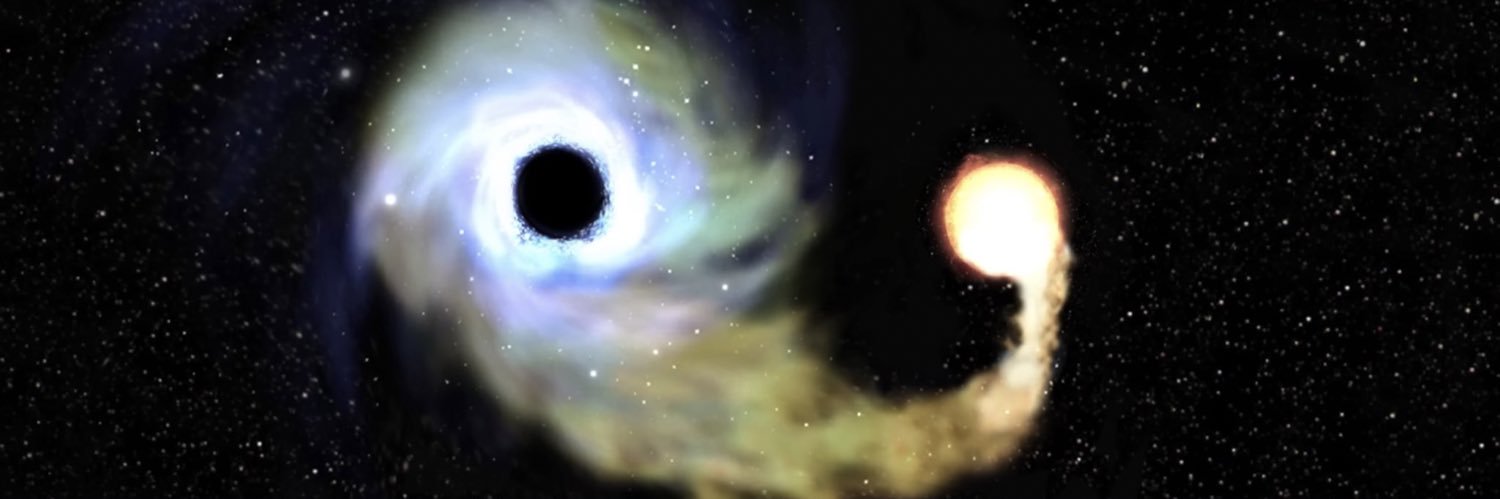 Matt ☯︎陰龍🐉 banner