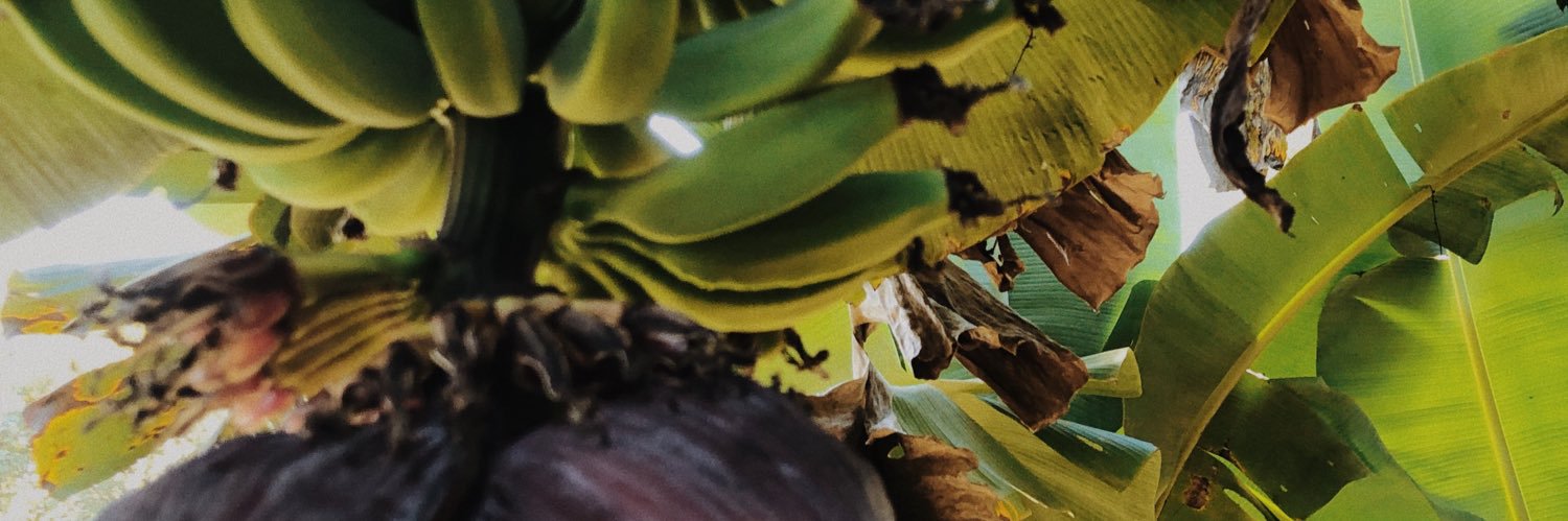 fernandoazrd's profile banner image