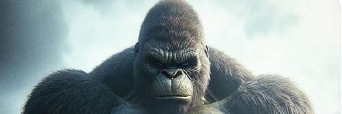 Timbo_Rambo's profile banner image