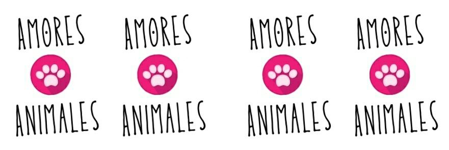 Amores Animales banner