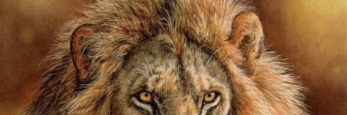 aleexgalindou's profile banner image