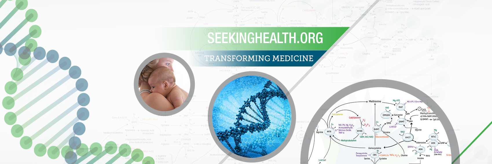 SeekingHealthEI's profile banner image