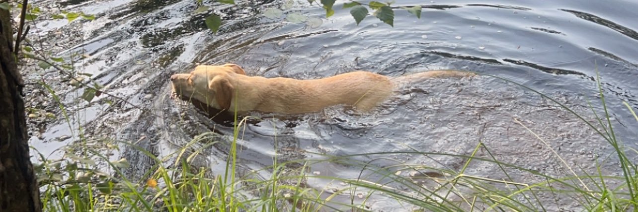 totichx's profile banner image