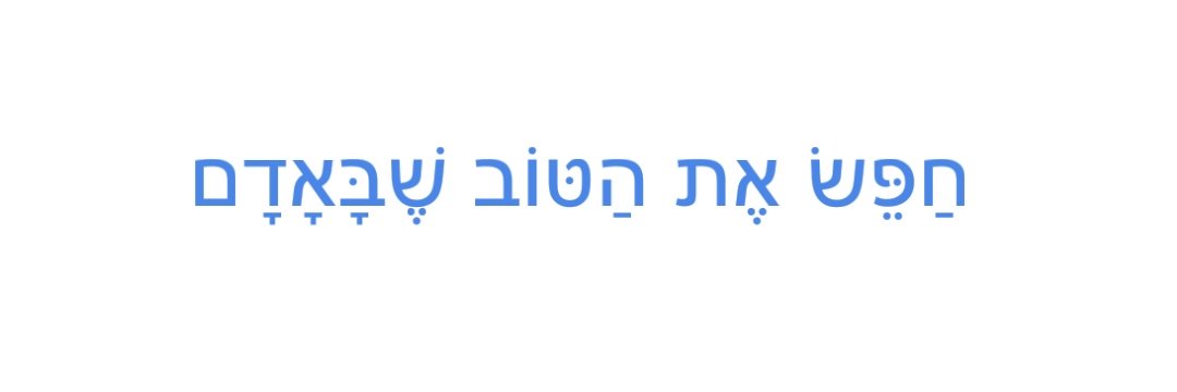 🇮🇱 اساف دوود אסף דוד Asaf David 🎗️ banner