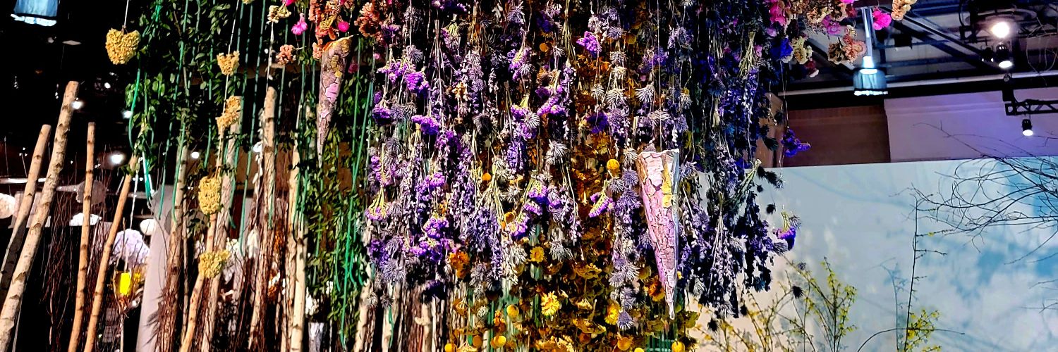 Brigavelli's profile banner image