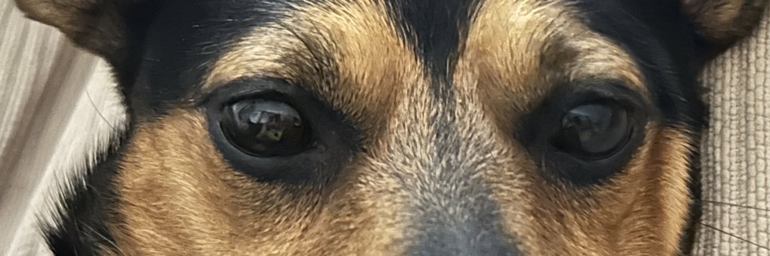 largiiii's profile banner image