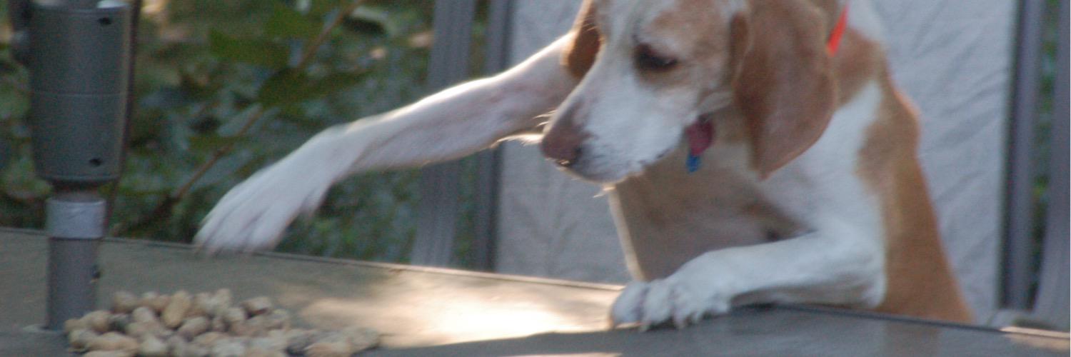 MrsReidelbach's profile banner image