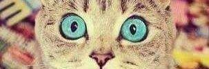 evyms23's profile banner image