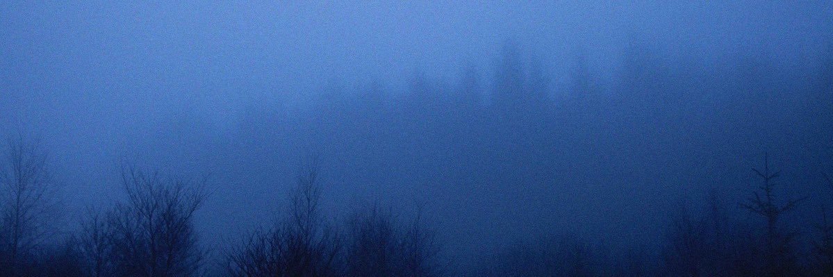 oliaims's profile banner image