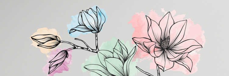 roiasecas's profile banner image