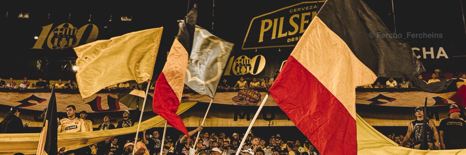 MariBarce's profile banner image