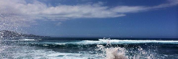 newtopiaFan's profile banner image