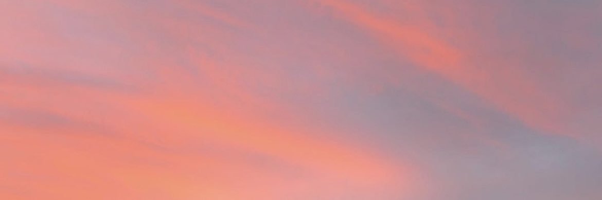 GilinskyLilly's profile banner image