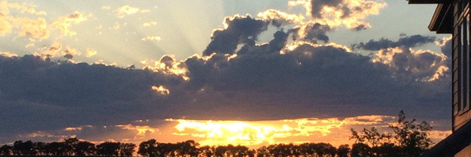 Stacy Hadrick banner