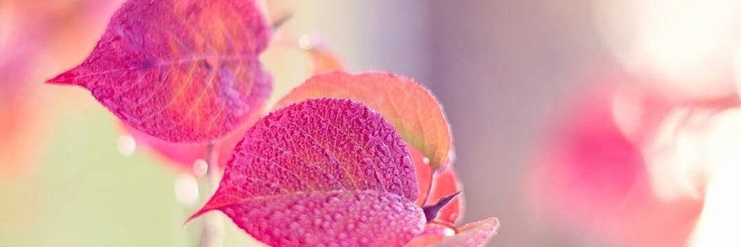PrincessMad24's profile banner image