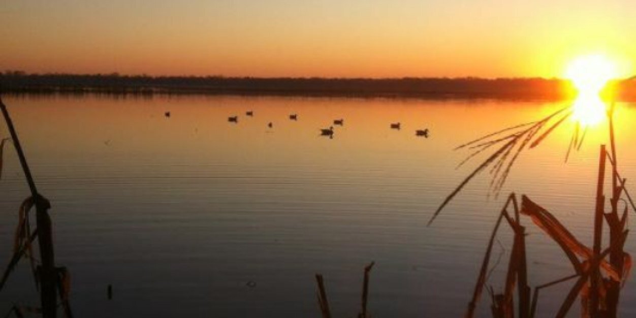 Scott Sherman banner