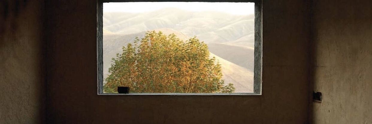 Reyhan Hacıoğlu banner