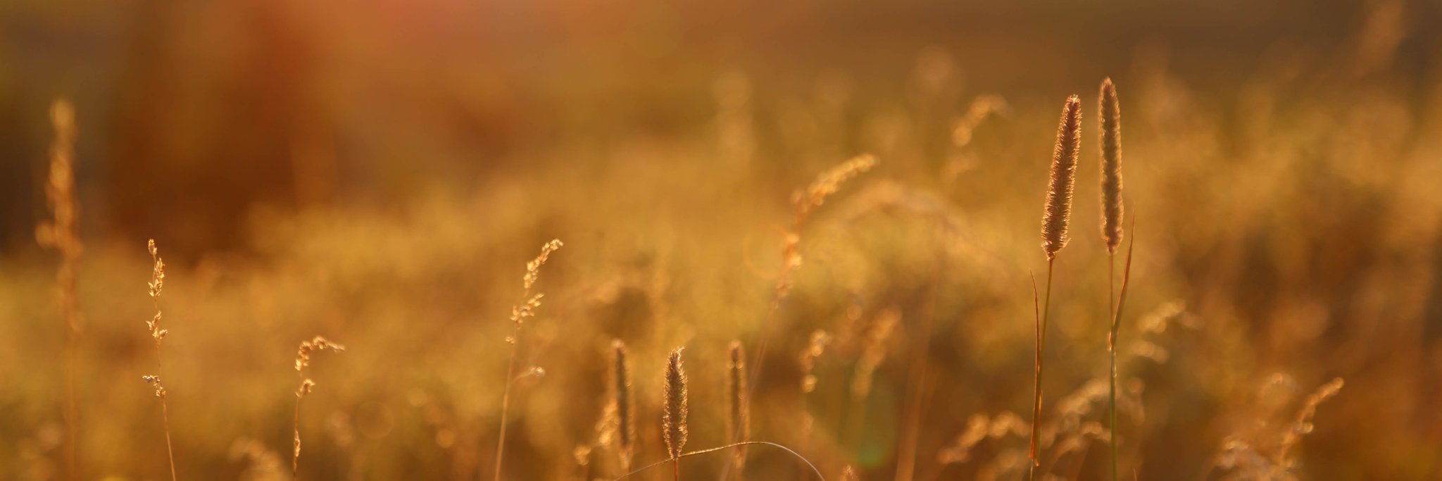 carolineabeck's profile banner image