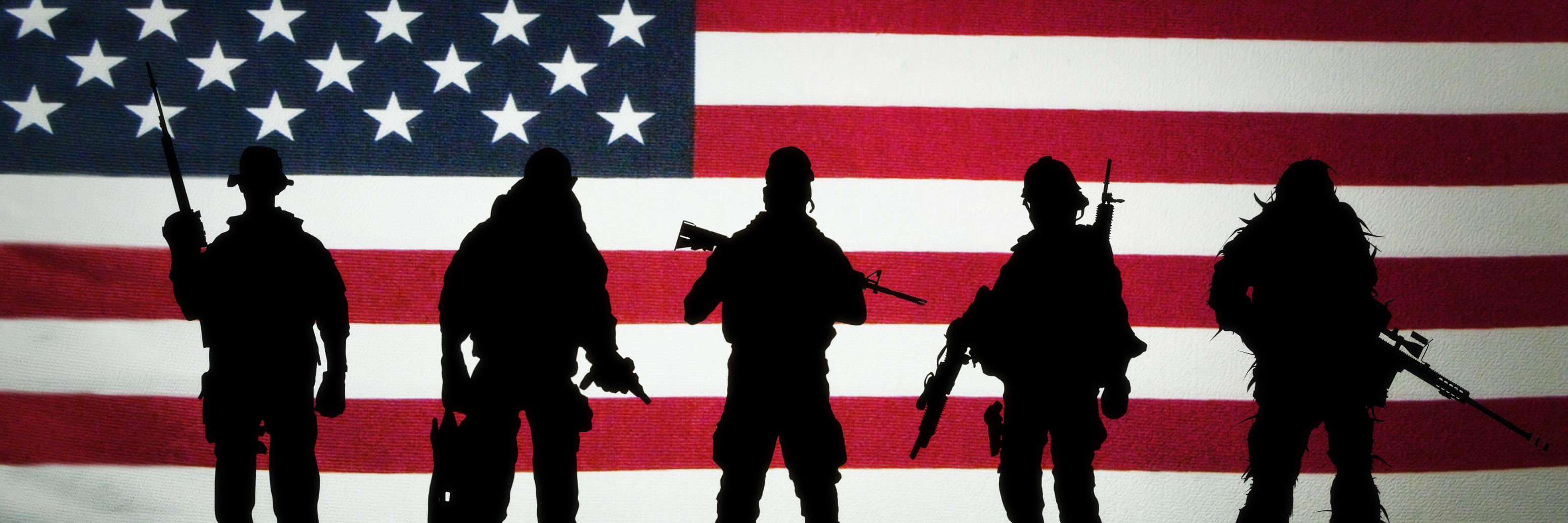 VetsAgainstISIS's profile banner image