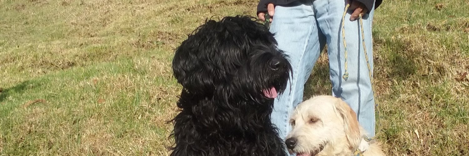 Ruperju's profile banner image