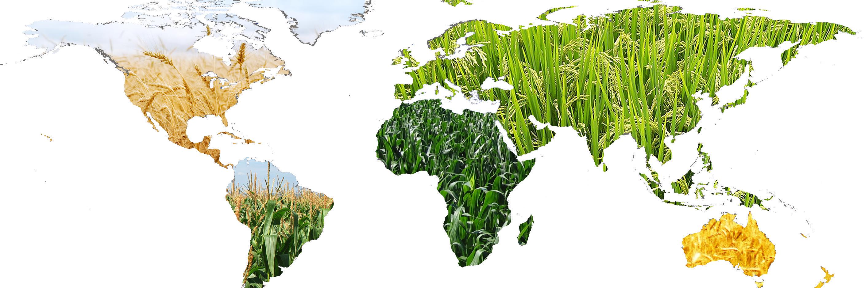 GEOGLAM Crop Monitor banner