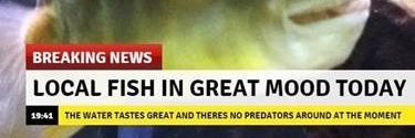 aamseeley's profile banner image