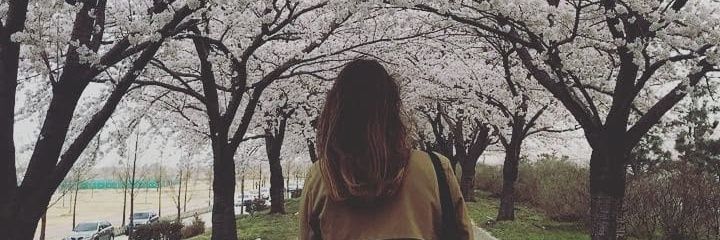 Deboouuh's profile banner image