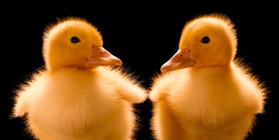 Cloning4321's profile banner image