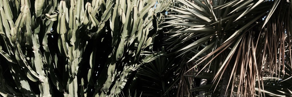 luciasncz's profile banner image