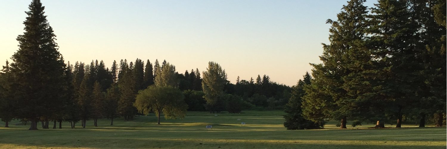 Braaadyyy's profile banner image