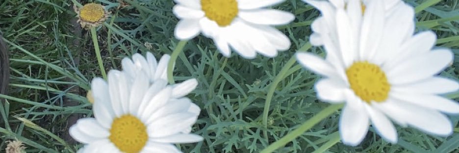 cheygoodman00's profile banner image