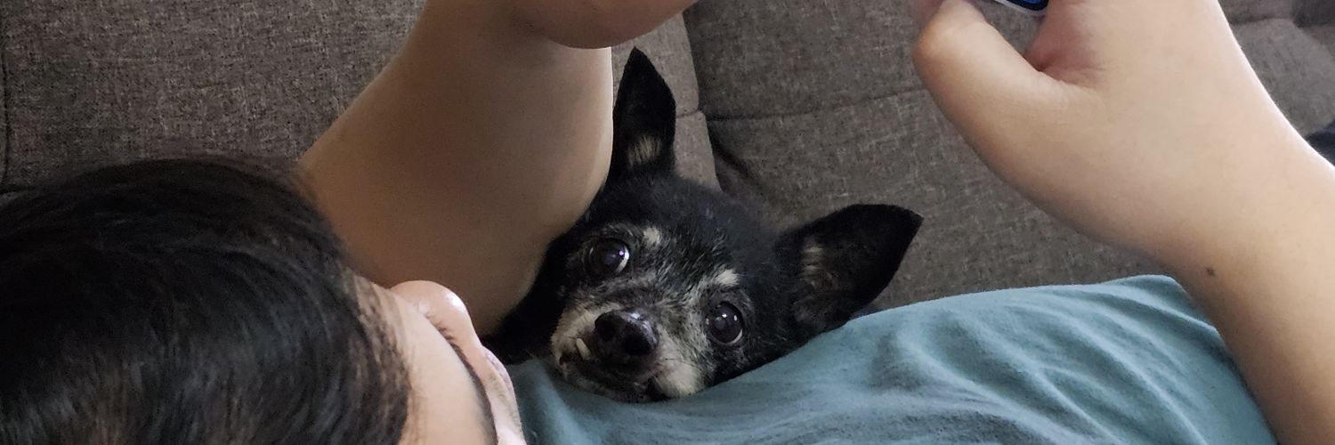 fayern23's profile banner image