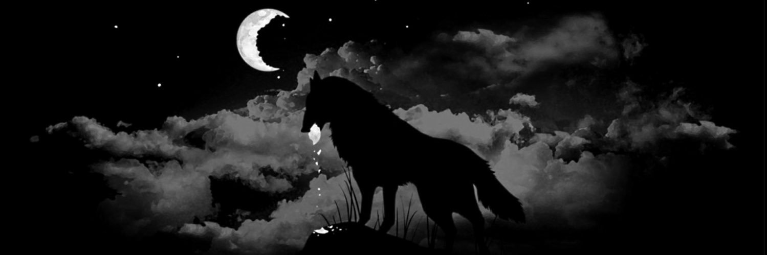 CarterDilts's profile banner image