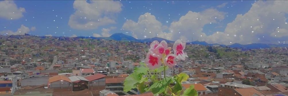 gisselamcc's profile banner image