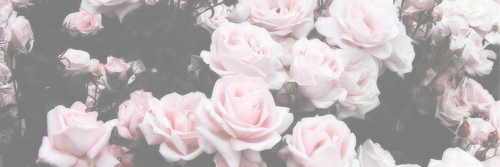Buscadora de Rol. banner