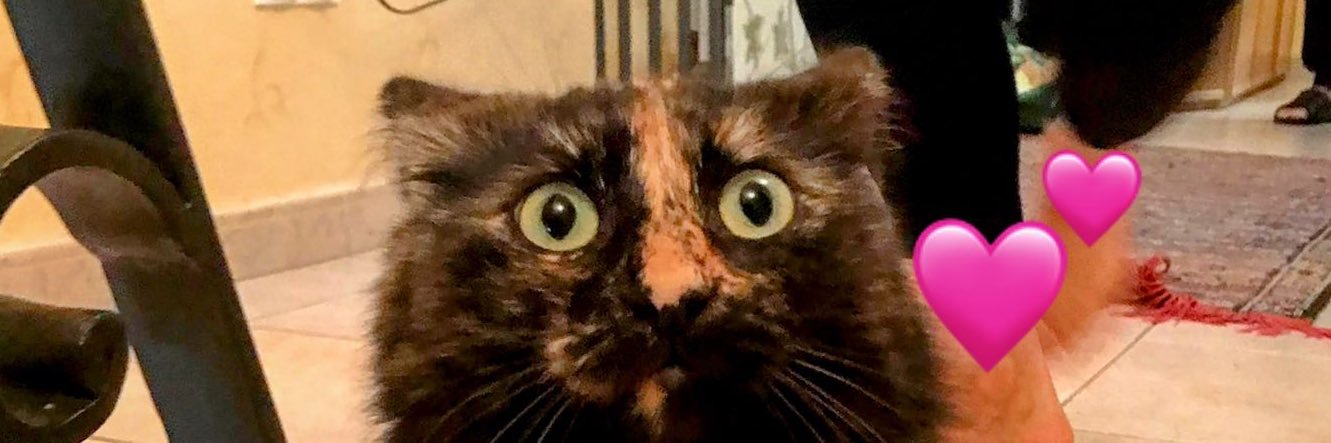 Judit Giró Benet banner