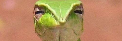 ___evkedisi___'s profile banner image