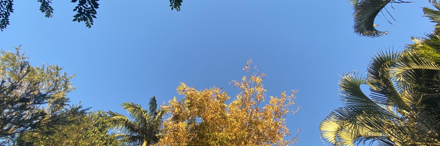 timmeedoubleu's profile banner image