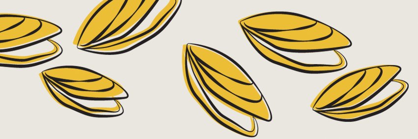 OstervilleFish's profile banner image
