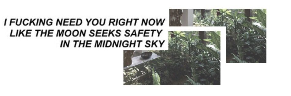 noturbooty's profile banner image